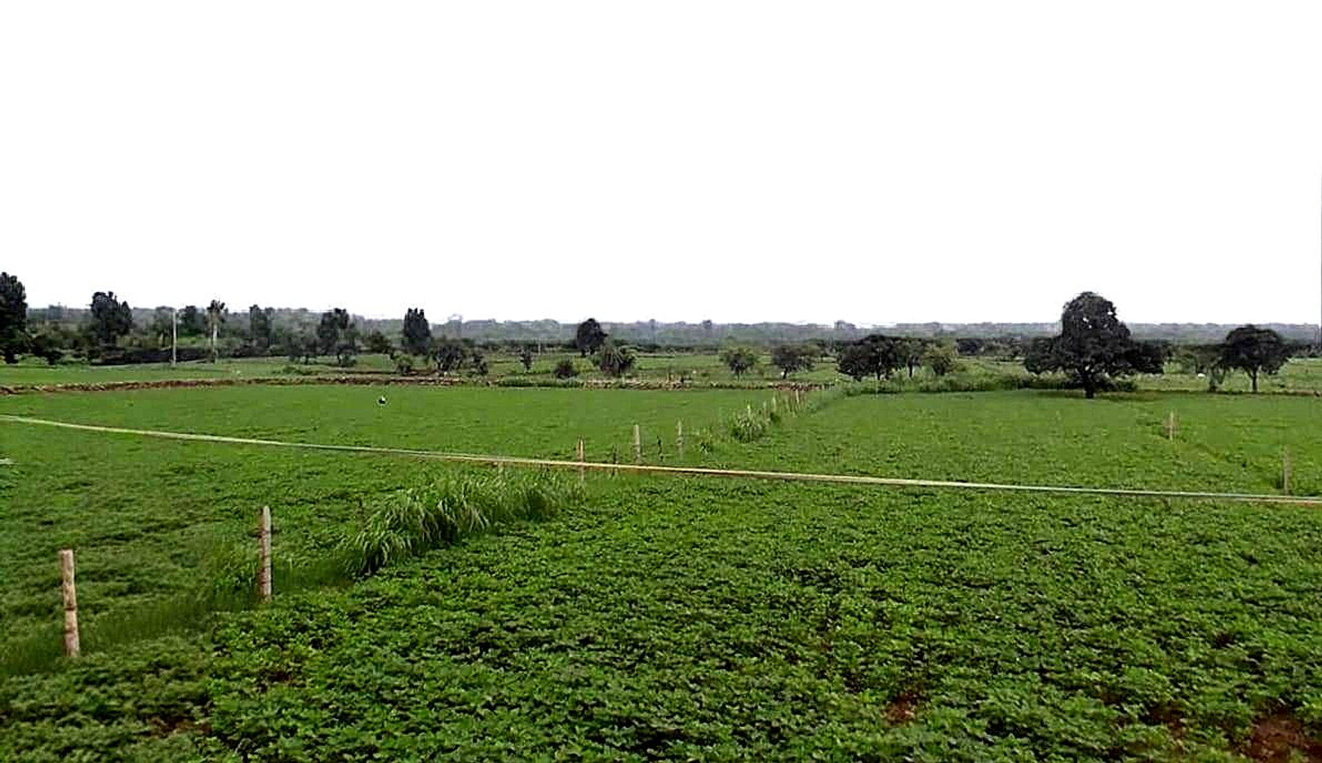 Alahada Khedi, Madhya Pradesh 466001, India