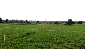 Alahada Khedi, Madhya Pradesh 466001, India preview 2