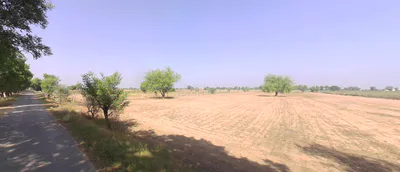 Mubarikpur, Rajasthan 301025, India preview 3