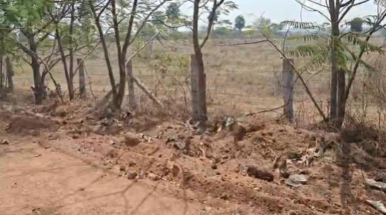 PHR8+VQ Gundal, Telangana, India preview 3