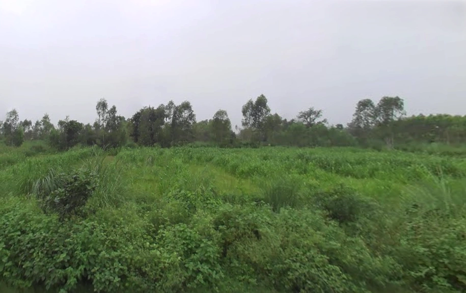 Satpura, Uttar Pradesh 247129, India