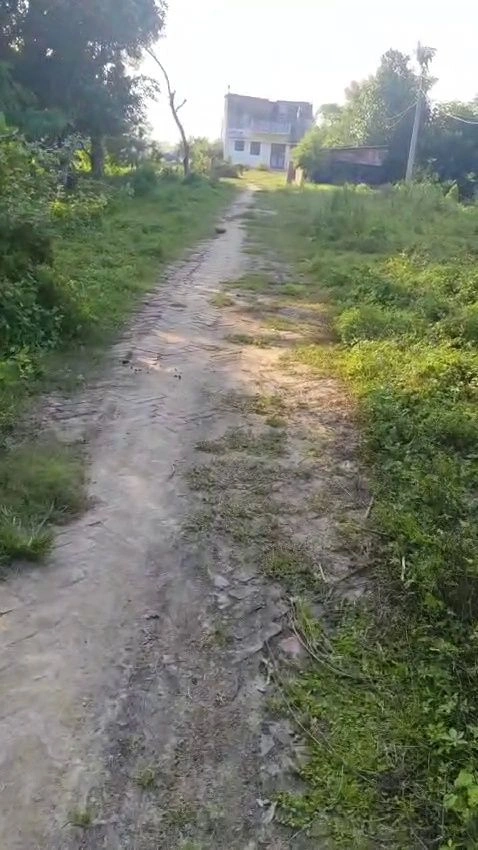 C26M+6Q3, Mirzapur, Bihar 803203, India preview 3