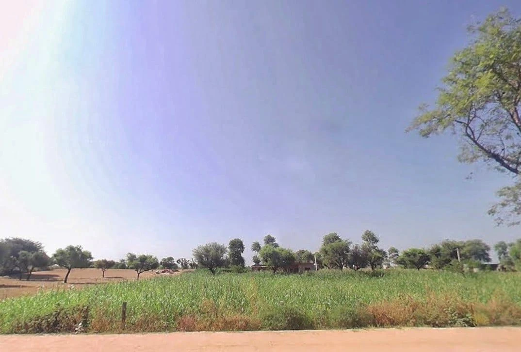 Reengus Rd, Khatoo, Rajasthan, India