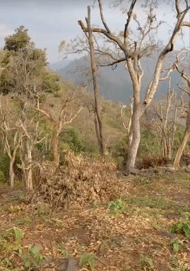 Morni Hills, Haryana, India preview 2