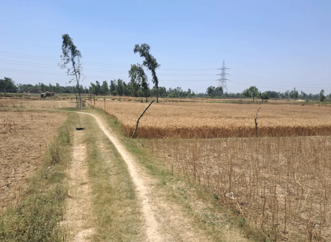 Solda - Jewer Rd, Jewar, Uttar Pradesh, India