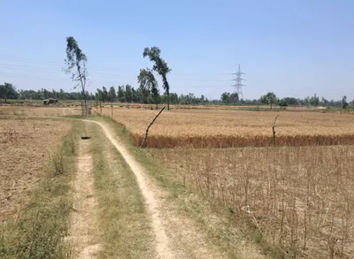 Solda - Jewer Rd, Jewar, Uttar Pradesh, India preview 2