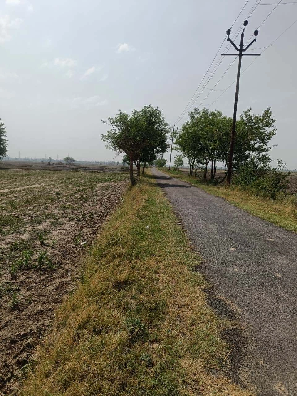 Aou, Rajasthan, India