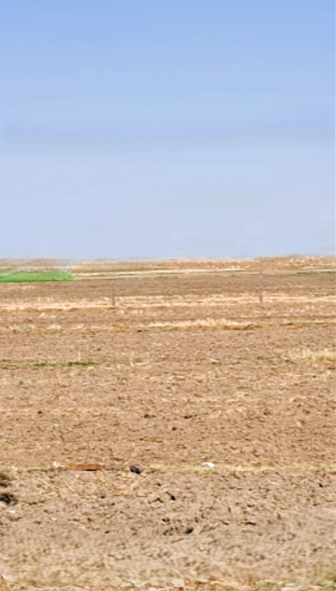 Ranoli, Rajasthan 332403, India