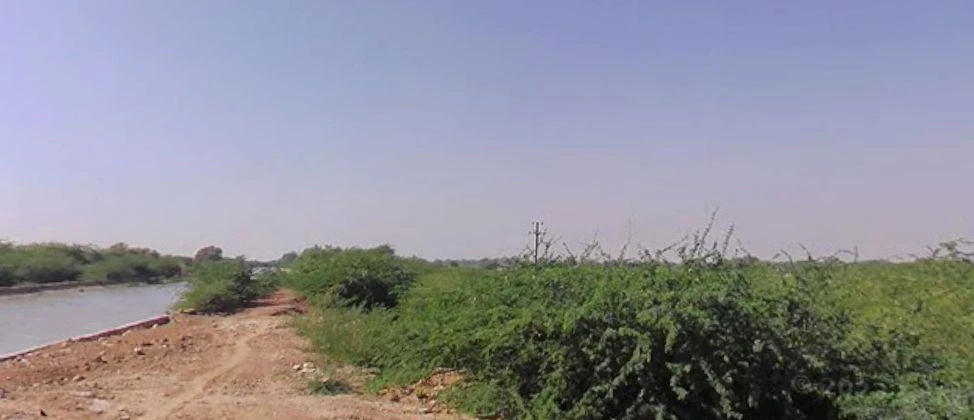 Arjana, Rajasthan 345001, India
