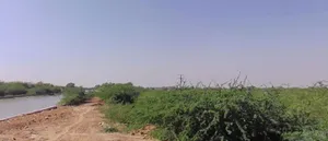 Arjana, Rajasthan 345001, India preview 2