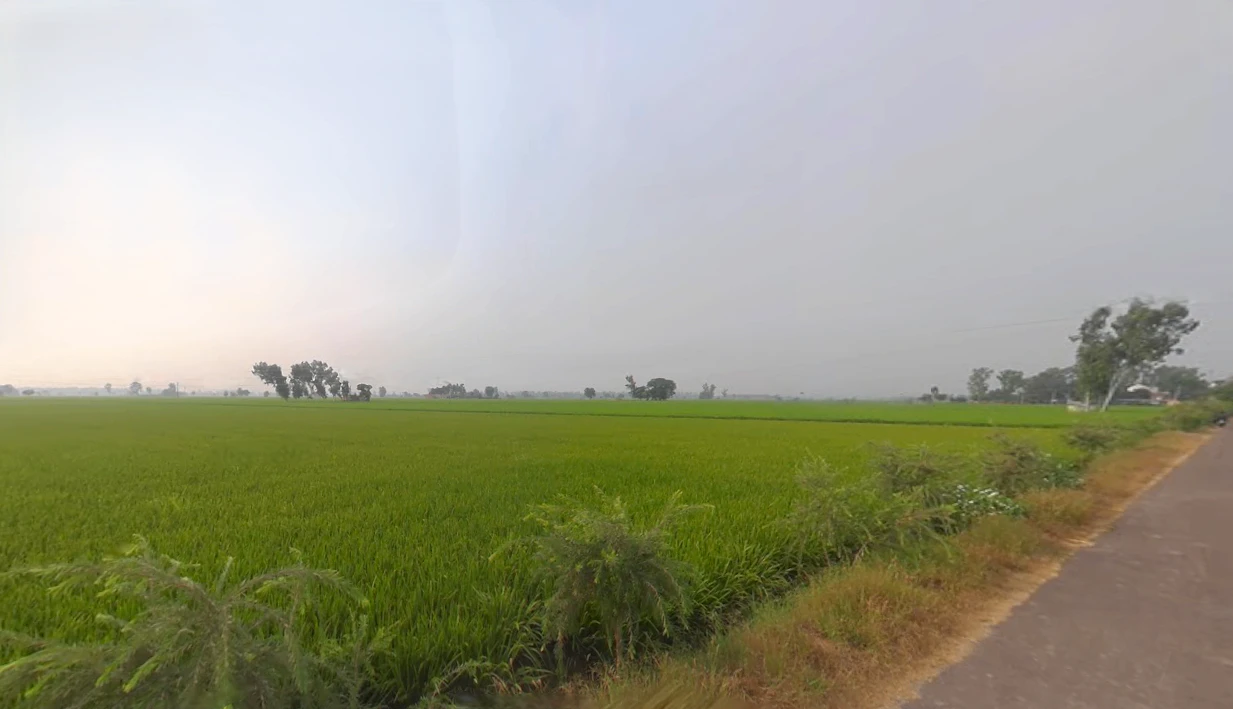 Bareta, Punjab 151501, India