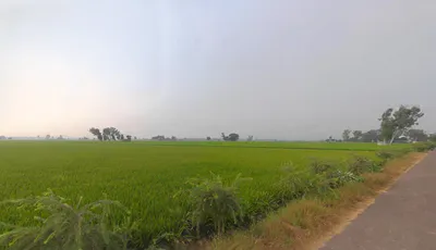 Bareta, Punjab 151501, India preview 3