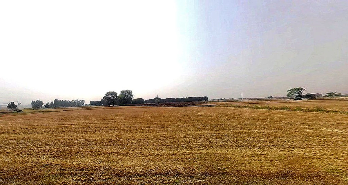 Luharli, Uttar Pradesh 201314, India