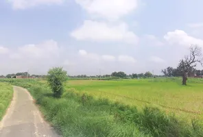 69JQ+M56, Bahadurgarh, Barai Garh, Uttar Pradesh 209401, India preview 2