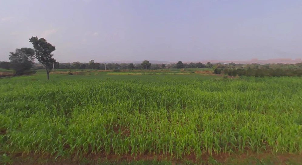 JX7F+RQM, Bhawadi, Maharashtra, India
