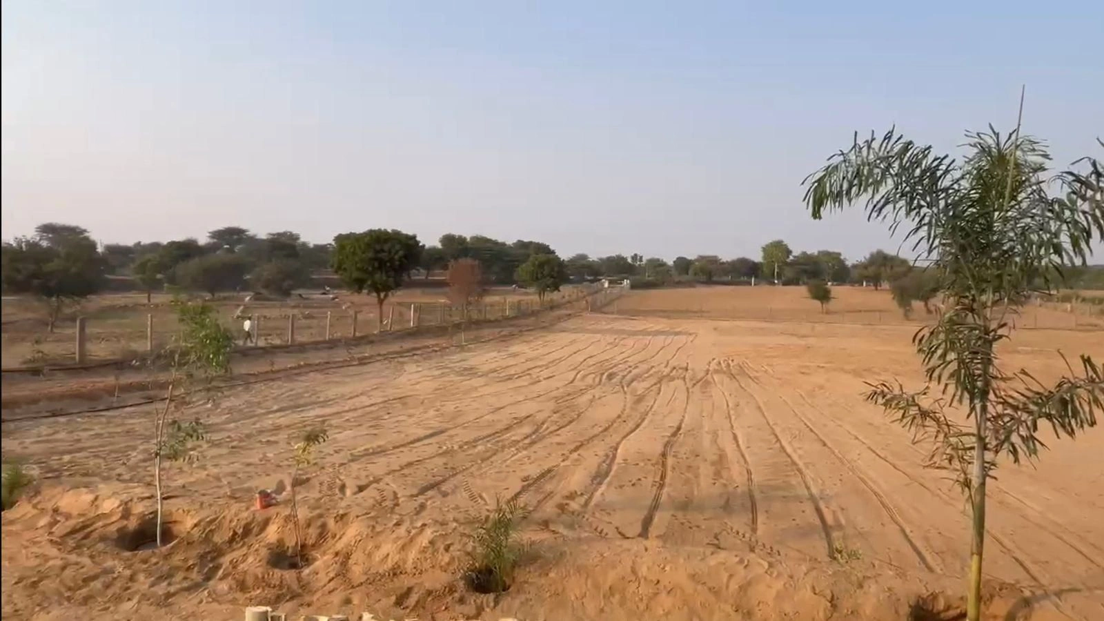 HF56+PQP, Thanwala, Rajasthan 305026, India