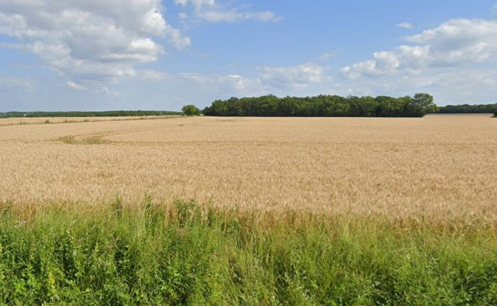 Bhatiya, Madhya Pradesh 470775, India