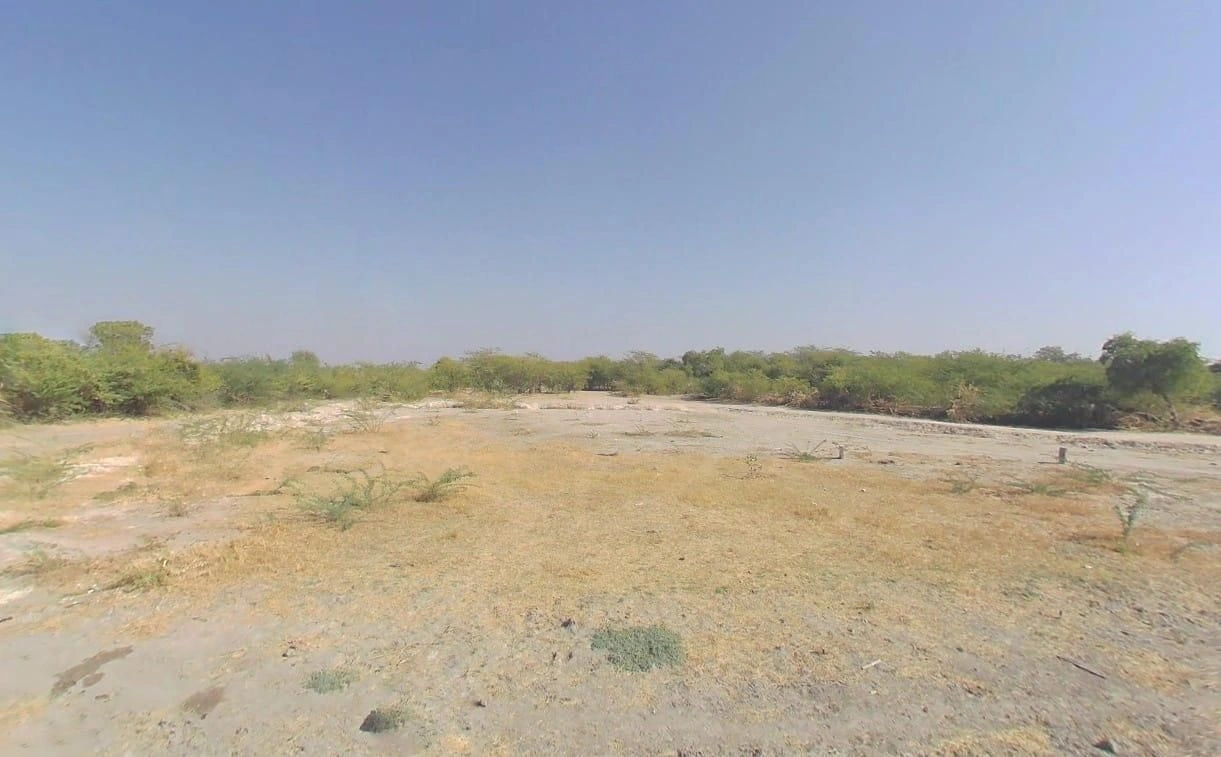V5VM+4G7, Bandai, Rajasthan 306421, India