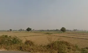 Jindran, Haryana, India preview 3