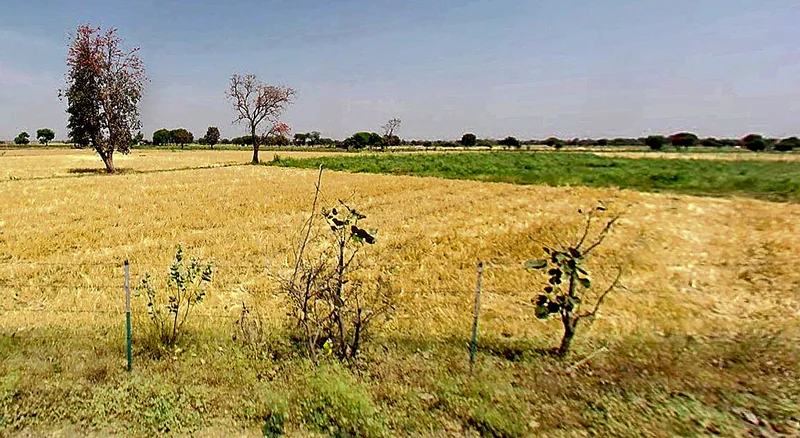 Ratnakhedi, Madhya Pradesh 466111, India preview 3