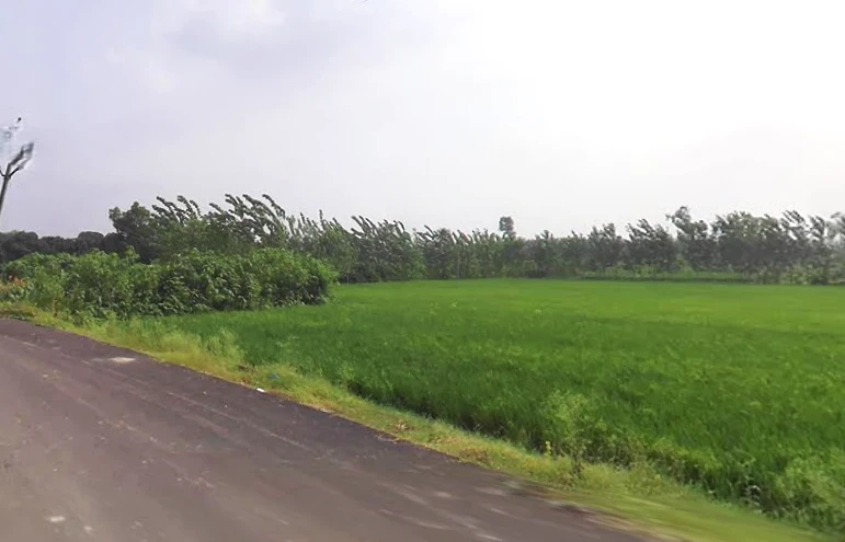 Behat, Uttar Pradesh 247121, India