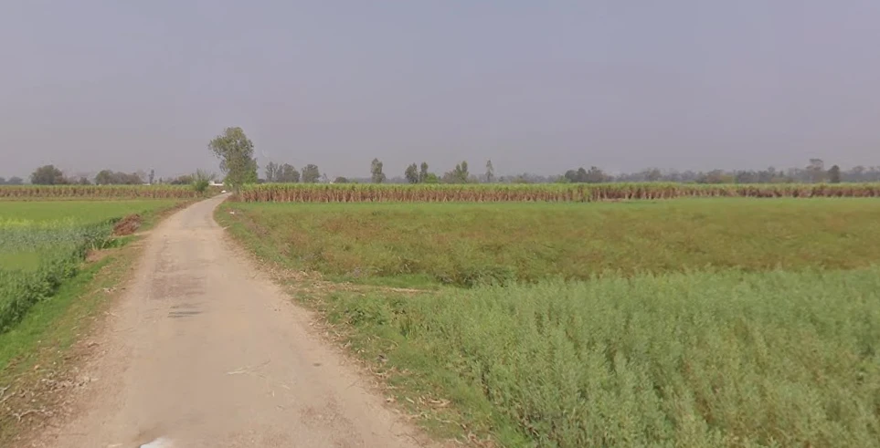 Mawana, Uttar Pradesh, India