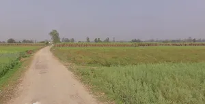 Mawana, Uttar Pradesh, India preview 3