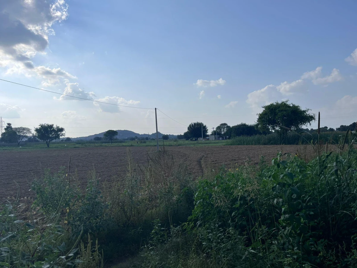 WH3F+G74, Khedaro Ki Dhani, Rajasthan 333022, India