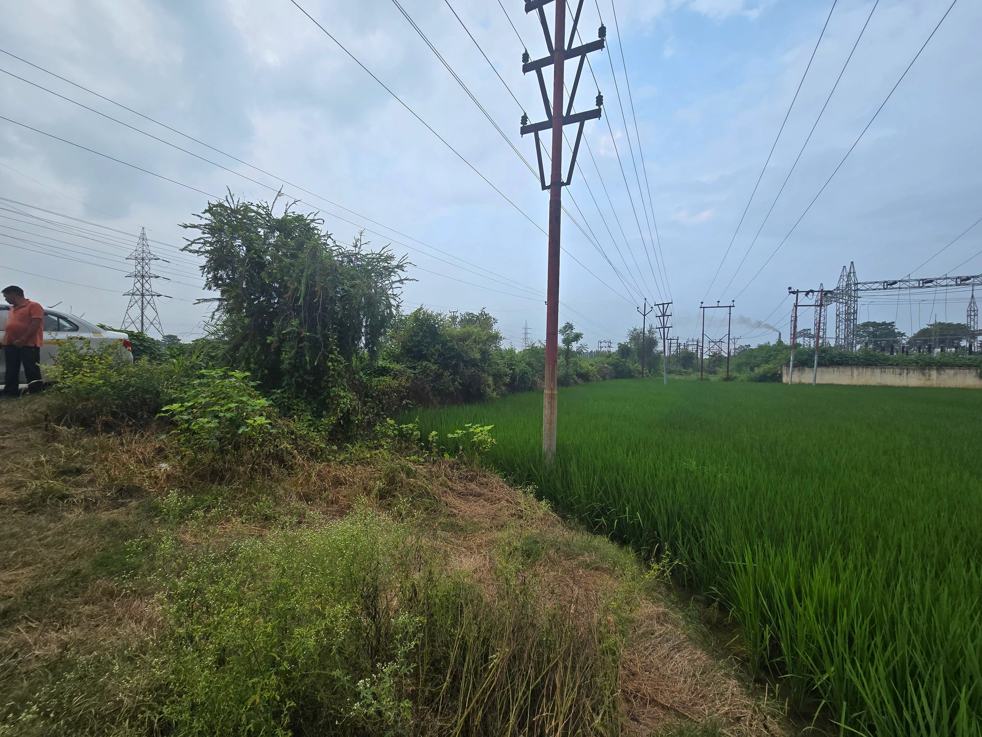 Rani Nagal, Udham Singh Nagar, Uttarakhand 262401, India