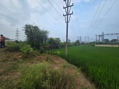 Rani Nagal, Udham Singh Nagar, Uttarakhand 262401, India preview 5