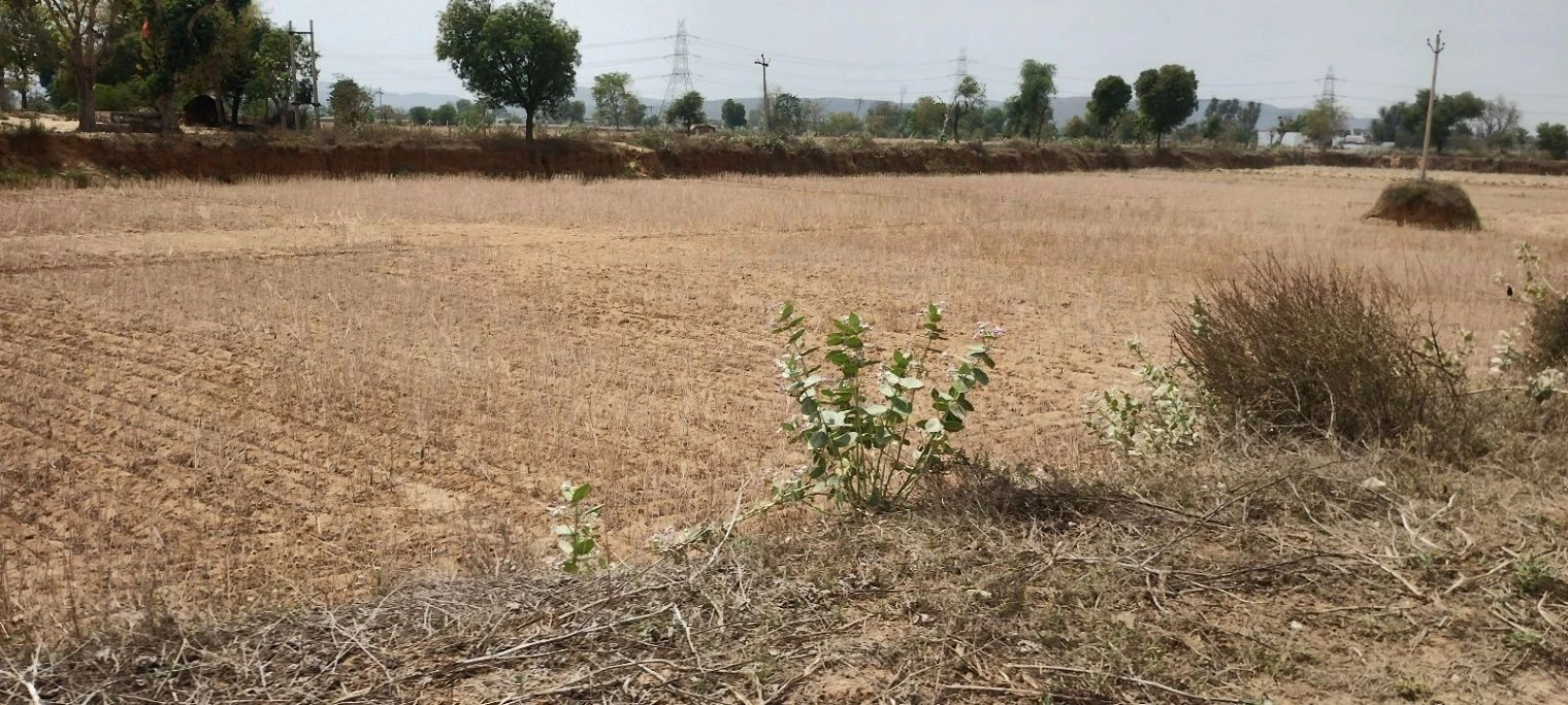 Ghat, Rajasthan, India