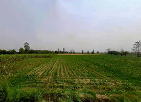 Sardhana, Uttar Pradesh 250342, India preview 2