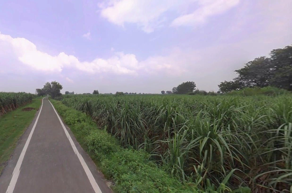 Kushawali, Uttar Pradesh 250342, India