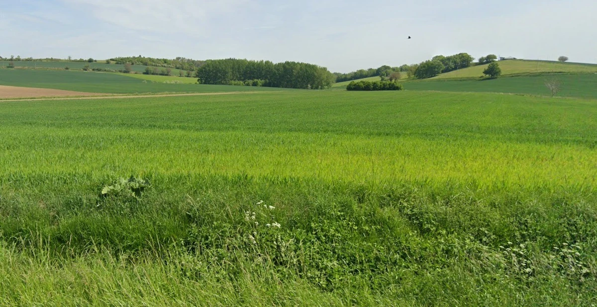 Upda, Madhya Pradesh, India