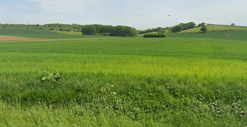 Upda, Madhya Pradesh, India preview 2