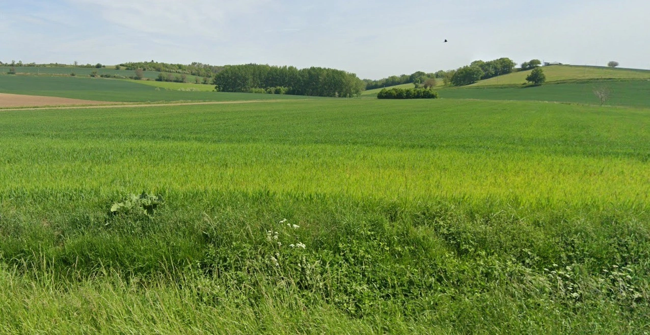 Upda, Madhya Pradesh, India