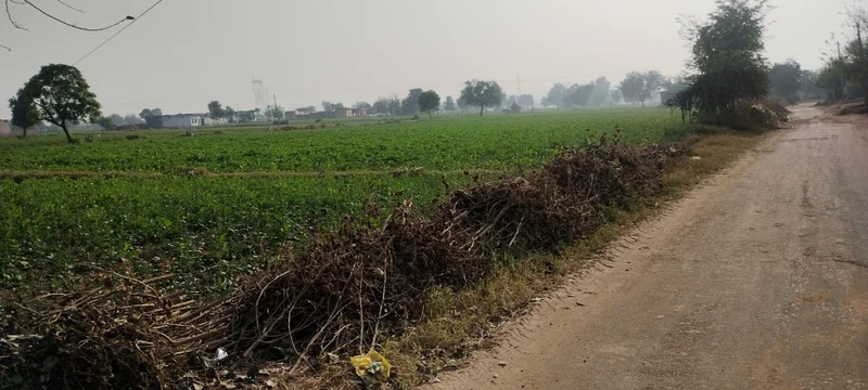 Mathura, Uttar Pradesh, India preview 2