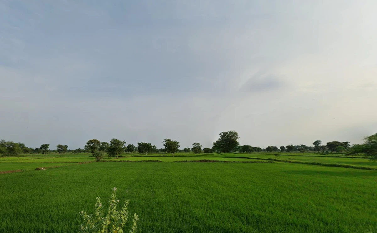 Mudpar Khurd, Chhattisgarh 491332, India