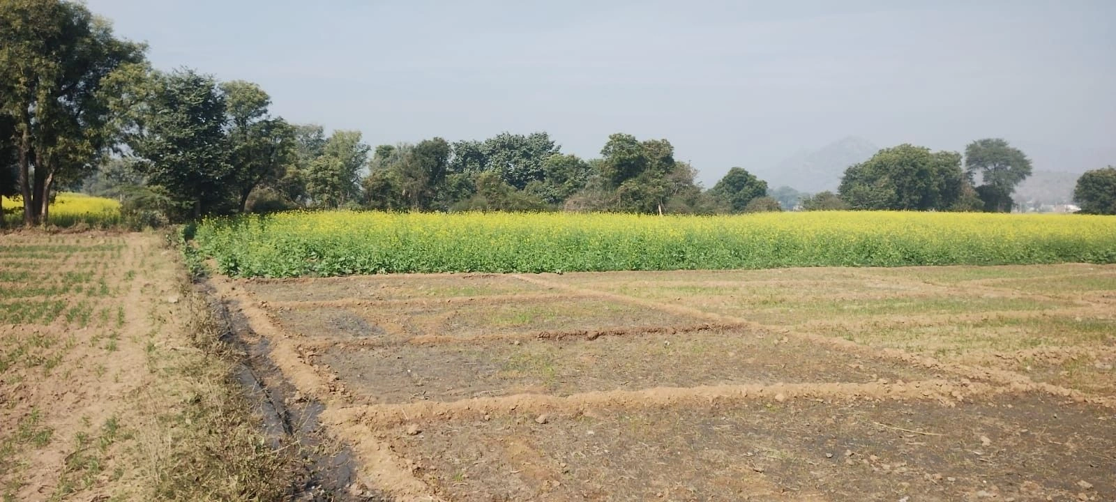 Naugaon, Rajasthan 301025, India preview 2