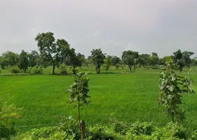 2JMQ+5XH, Raipur, Chhattisgarh 493661, India preview 2