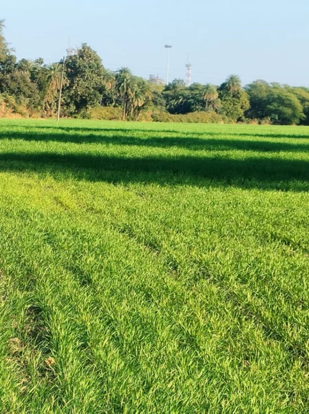 Bakaniya, Madhya Pradesh 462030, India preview 2