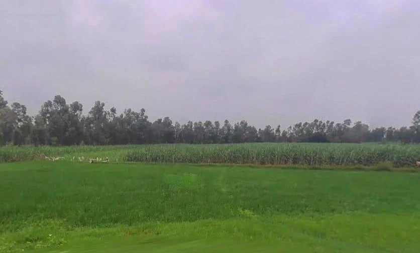 Sitapur, Uttar Pradesh, India