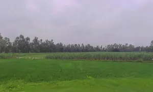 Sitapur, Uttar Pradesh, India preview 3