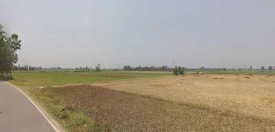Dhampur, Uttar Pradesh 246761, India preview 2