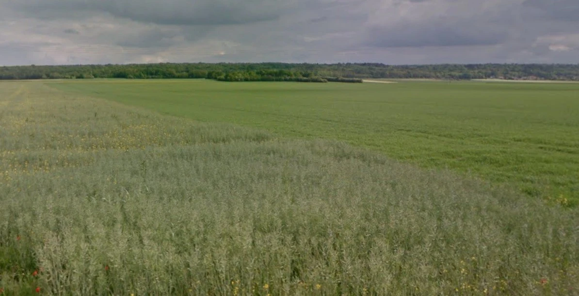 Bareli, Madhya Pradesh, India