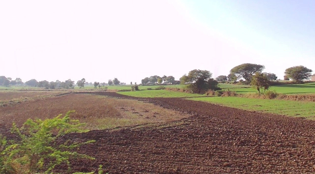 96WV+99X, Bordi, Madhya Pradesh 457777, India