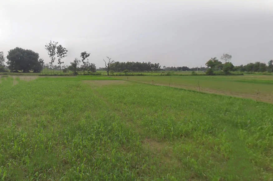 Papad Hamjapur, Uttar Pradesh 243635, India