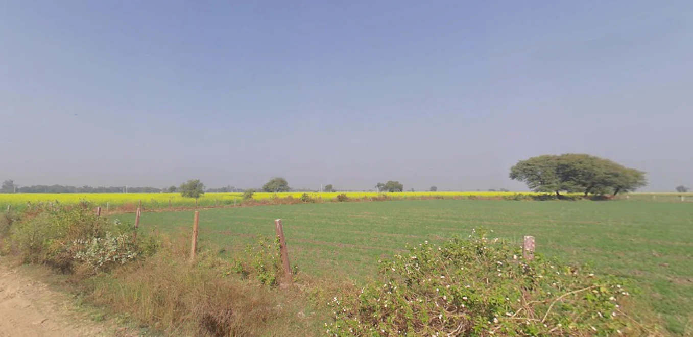 Chidwai, Rajasthan 301026, India