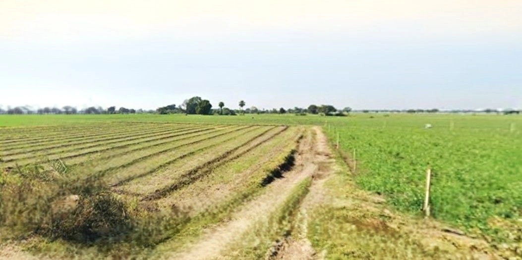 Panched, Madhya Pradesh 457222, India preview 2
