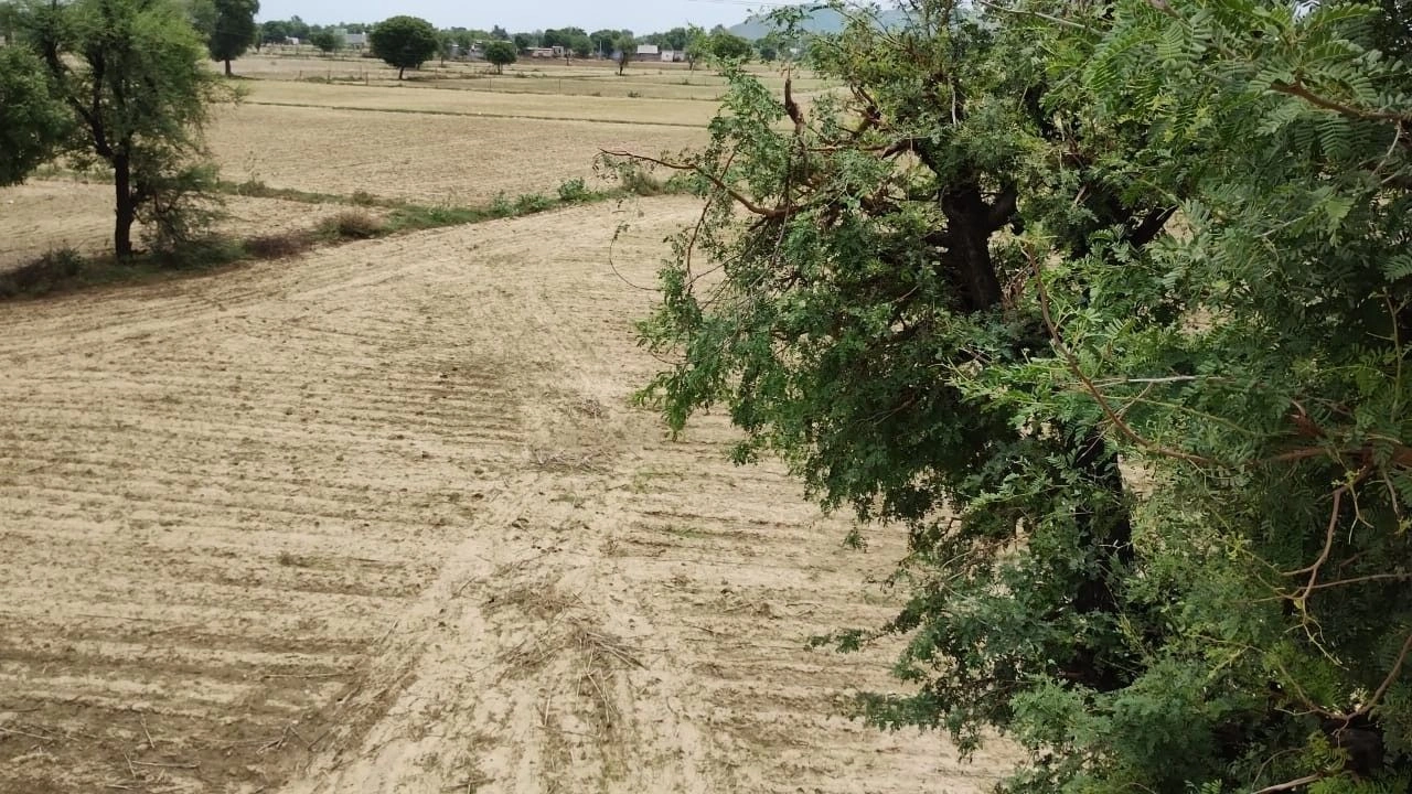 Govind Garh, Rajasthan 301604, India